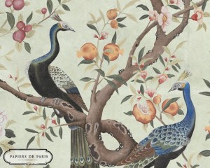 Cineseria XVIII secolo - carta da parati chinoiserie